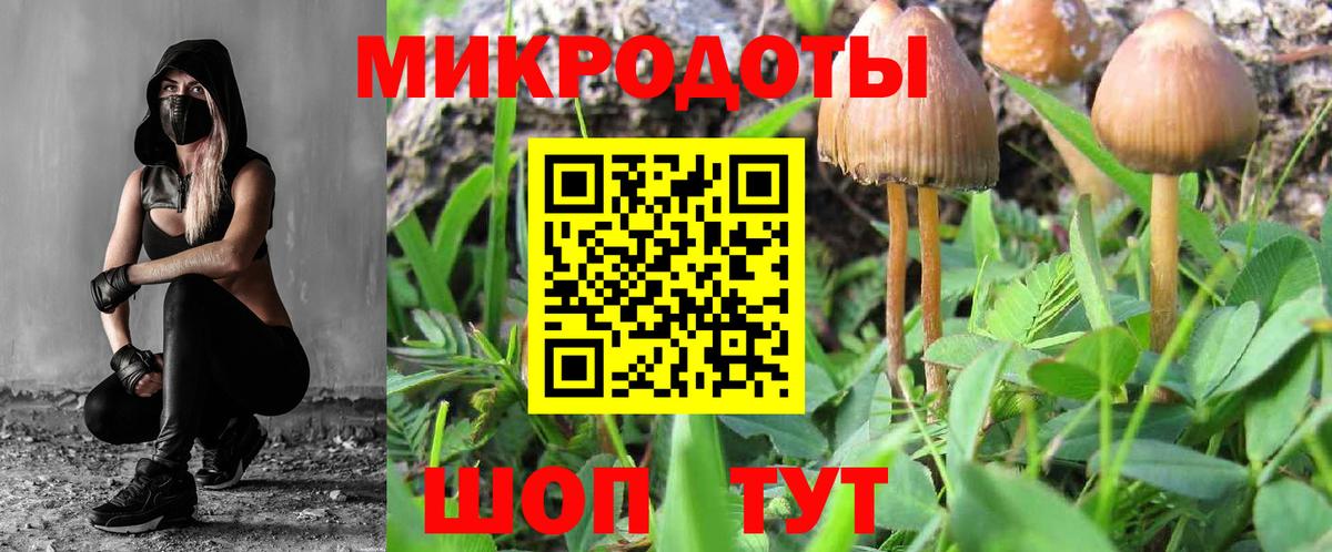 Куйбышев  Галлюциногенные грибы GOLDEN TEACHER  Вход с VPN 