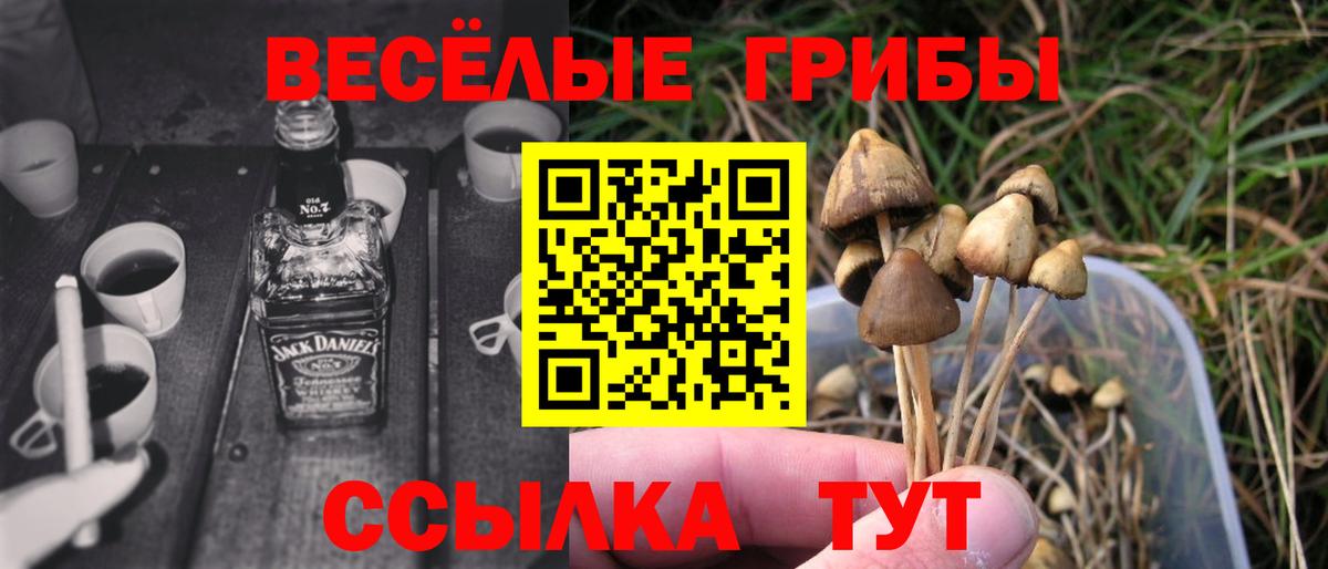 Псилоцибиновые грибы Cubensis Куйбышев