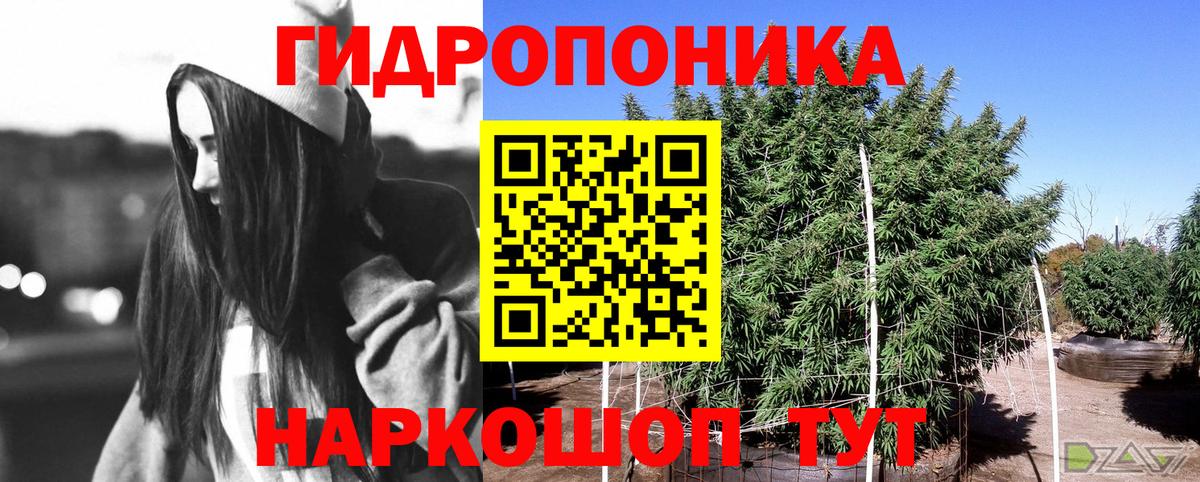 Бошки Шишки индика Куйбышев